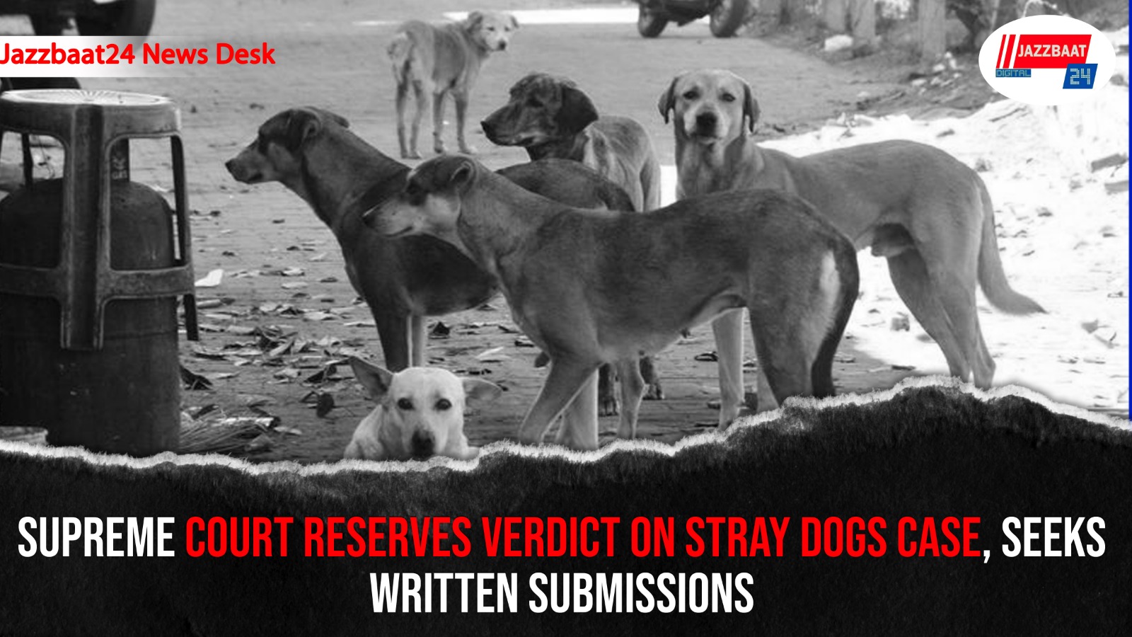 Supreme Court Reserves Verdict on Stray Dogs Case, Seeks Written Submissions

