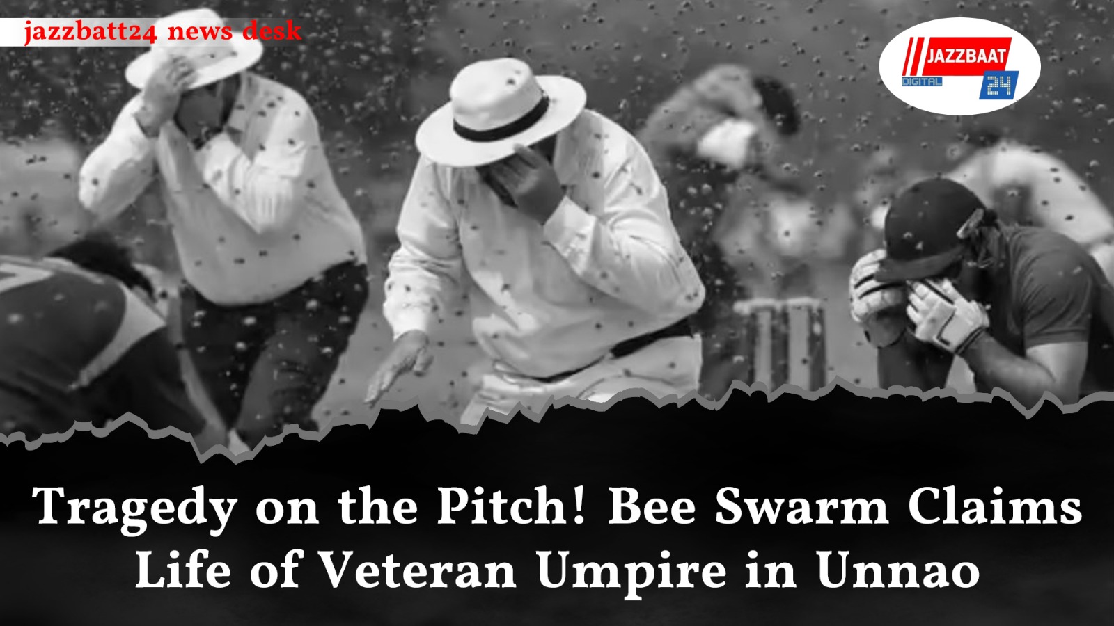 Tragedy on the Pitch! Bee Swarm Claims Life of Veteran Umpire in Unnao
