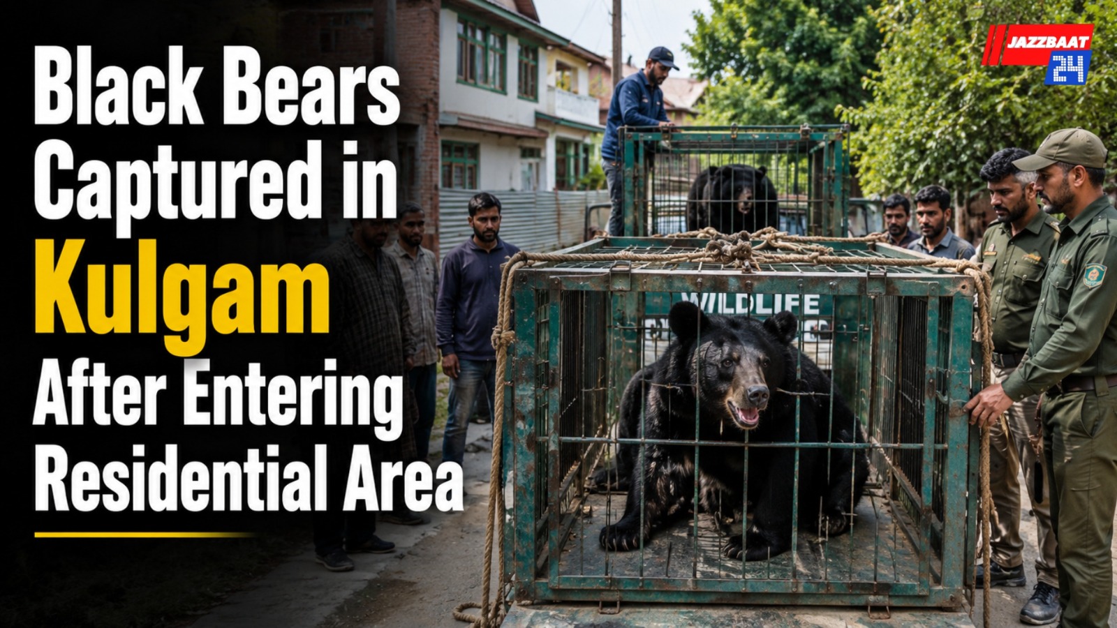 Black Bears Captured in Kulgam After Entering Residential Area