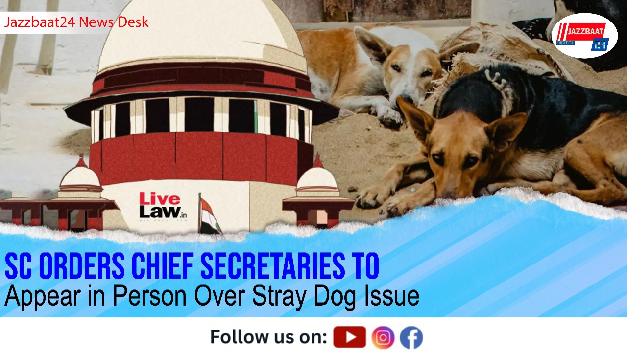 SC Orders Chief Secretaries to Appear in Person Over Stray Dog Issue

