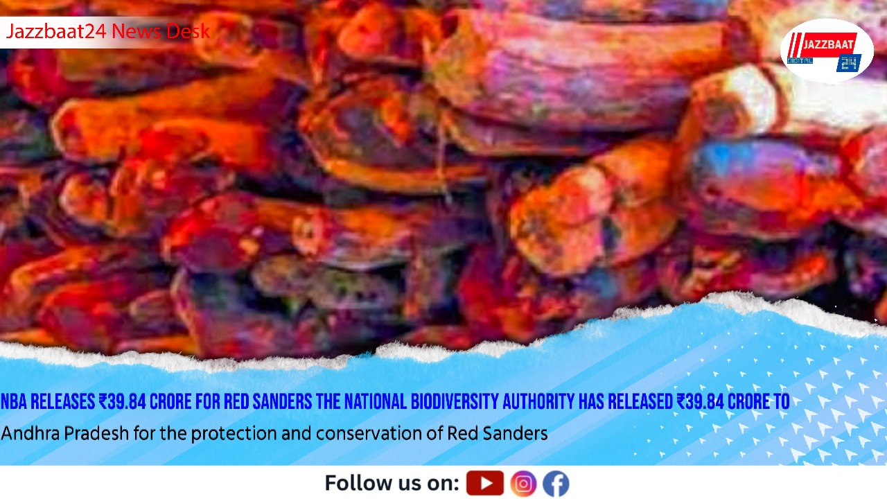 NBA Releases ₹39.84 Crore for Red Sanders
