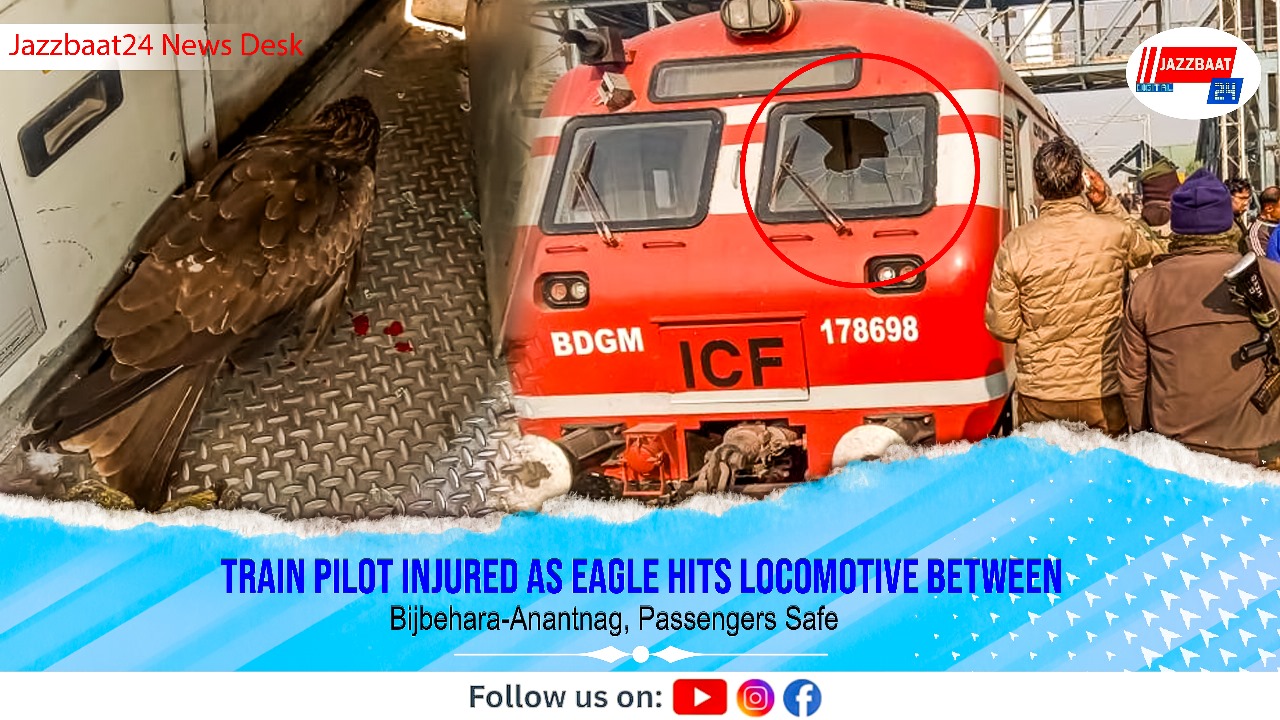 Train Pilot Injured as Eagle Hits Locomotive Between Bijbehara-Anantnag, Passengers Safe

