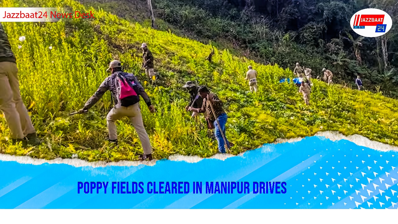 Poppy Fields Cleared in Manipur Drives
