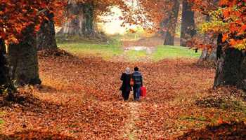 Autumn Bliss Draws Tourists to Kashmir

