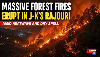Massive Forest Fires Erupt in J-K's Rajouri Amid Heatwave and Dry Spell