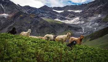 Bara Bhangal: The story of a quiet village hidden in the mountains