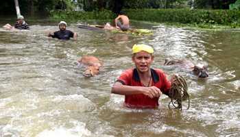 100 people dead as floods wreaks havoc in Assam