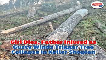 Girl Dies, Father Injured as Gusty Winds Trigger Tree Collapse in Keller Shopian