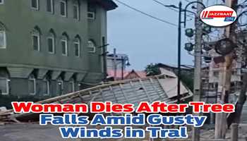 Woman Dies After Tree Falls Amid Gusty Winds in Tral