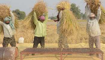 PUNJAB FARMERS USE SUSTAINABLE METHODS TO DISPOSE OF CROP WASTE