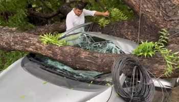 Many Cars Damaged, Trees Uprooted After Storm In Delhi