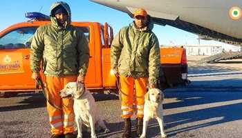 JULIE, ROMIO, HONEY , RAMBO : MEET DOG SQUAD FROM INDIA HELPING RESCUE OPERATIONS IN QUAKE - HIT TURKEY