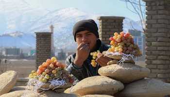 ‘Kangina’, a unique method to keep grapes fresh without refrigerator or chemicals preservatives