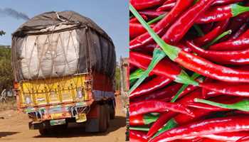 THIEVES STEAL TRUCK FILLED WITH CHILI FROM GORAKHPUR, UTTAR PRADESH 