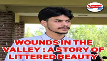 WOUNDS IN THE VALLEY : A STORY OF LITTERED BEAUTY