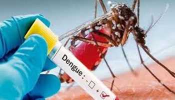 Dengue cases rise in J&K; doctors call for preventive measures




Jahangeer Ganaie