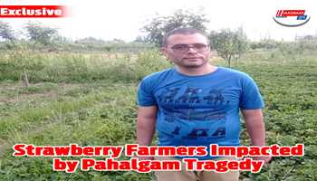 Strawberry farmers impacted by Pahalgam tragedy