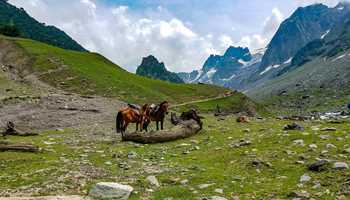 THE JOY, COMFORT, AND BEAUTY OF SONAMARG OPEN FOR VISITORS THIS WINTER