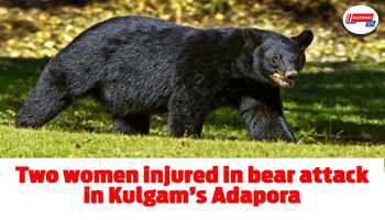 Two women injured in bear attack in Kulgam’s Adapora