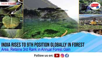 India Rises to 9th Position Globally in Forest Area, Retains 3rd Rank in Annual Forest Gain
