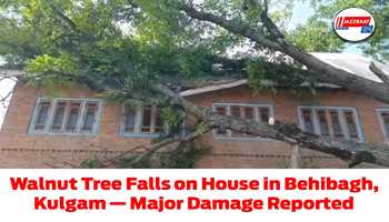 Walnut Tree Falls on House in Behibagh, Kulgam — Major Damage Reported