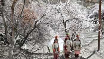 Apricot Blossom Festival begins, first program held at Garkone

