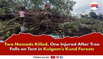 Two Nomads Killed, One Injured After Tree Falls on Tent in Kulgam's Kund Forests


