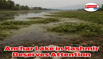 Anchar Lake in Kashmir Deserves attention