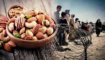 Afghan Fruit Supply Disrupted at Attari Border