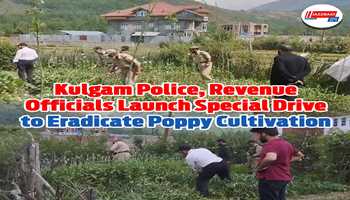 Kulgam Police, Revenue Officials Launch Special Drive to Eradicate Poppy Cultivation