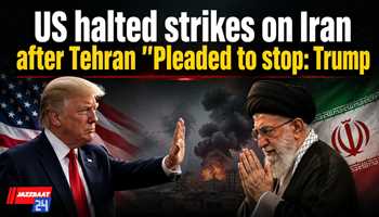 Trump: US Halted Iran Strikes