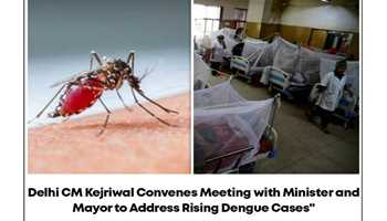 DELHI CM CALLS MEETING WITH MINISTER, MAYOR OVER ESCALATING DENGUE CASES