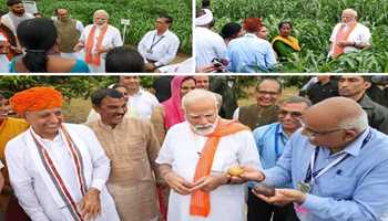 PM releases 109 high yielding, climate resilient and biofortified varieties of crops