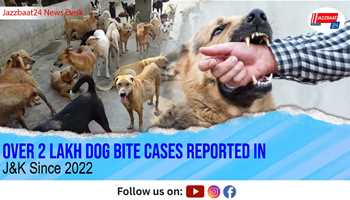 Over 2 Lakh Dog Bite Cases Reported in J&K Since 2022

