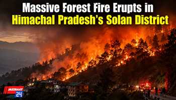 Massive Forest Fire Erupts in Himachal Pradesh's Solan District