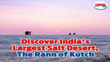 Discover India's largest salt desert, the Rann of Kutch