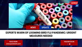 Experts Warn of Looming Bird Flu Pandemic: Urgent Measures Needed

