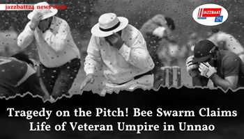 Tragedy on the Pitch! Bee Swarm Claims Life of Veteran Umpire in Unnao
