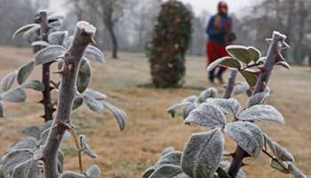 LIGHT SNOWFALL IN GULMARG, OTHER UPPER REACHES IN KASHMIR, LEH