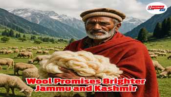 Wool promises brighter Jammu and Kashmir
