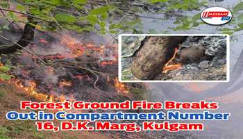 Forest Ground Fire Breaks Out in Compartment Number 16, D.K. Marg, Kulgam