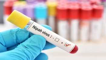 Nipah Virus Claims Life of Youth in Kerala