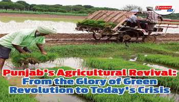 Punjab's Agricultural Revival: From the Glory of Green Revolution to Today's Crisis