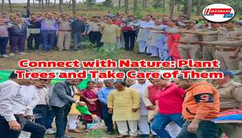 Connect with Nature: Plant Trees and Take Care of Them