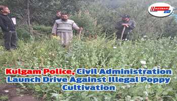 Kulgam Police, Civil Administration Launch Drive Against Illegal Poppy Cultivation
