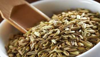 Fennel Seeds: A Simple Ingredient with Powerful Health Benefits