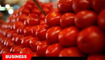  Tomato at Rs 100/kg: What’s driving the price hike?
