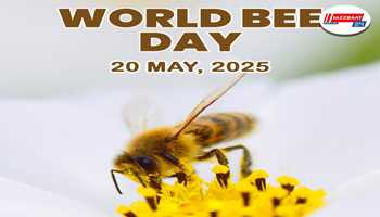 World Bee Day 2025