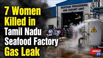 7 Women Killed in Tamil Nadu Seafood Factory Gas Leak